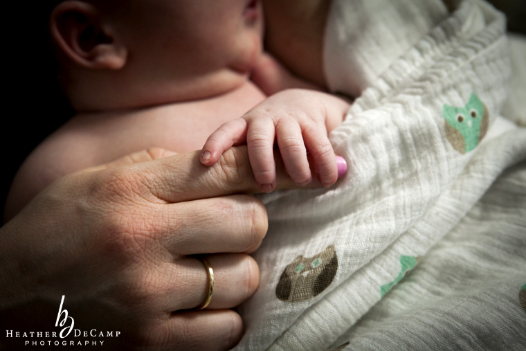 Chicago newborn photographer Heather DeCamp