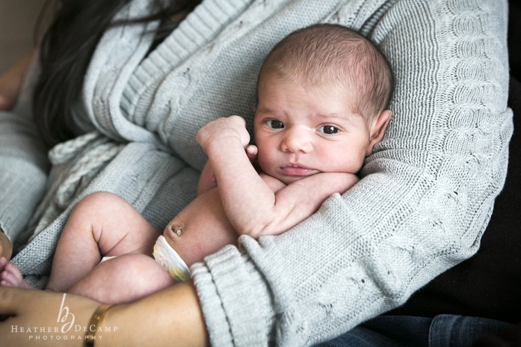 chicago newborn photographer