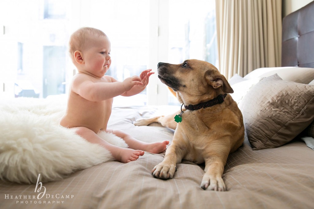 Heather DeCamp is a Chicago Family Photographer in wicker park
