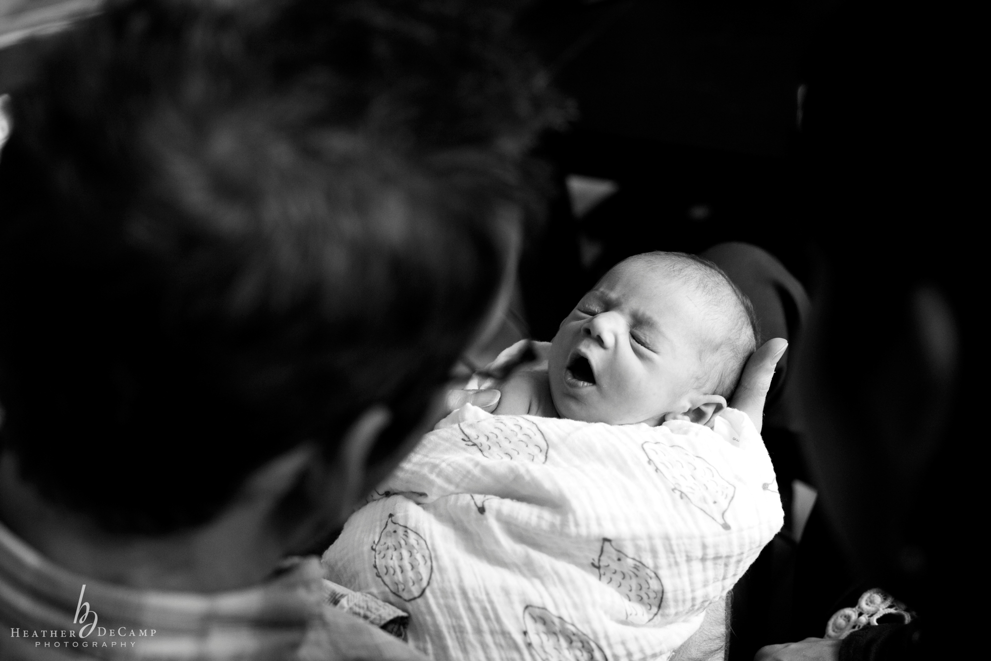Chicago newborn Photography