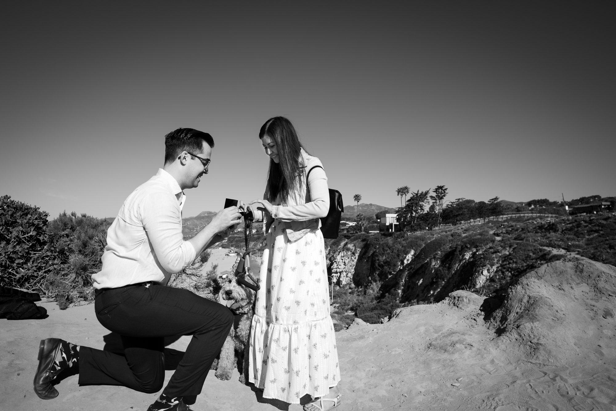 black and white surprise proposal los angeles